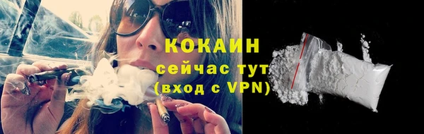 бошки Надым