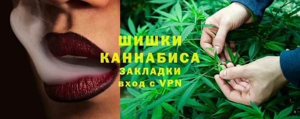 бошки Надым