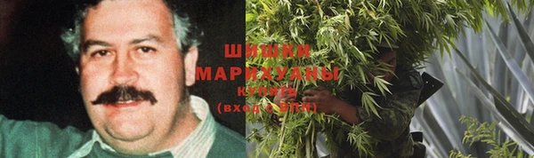 бошки Надым